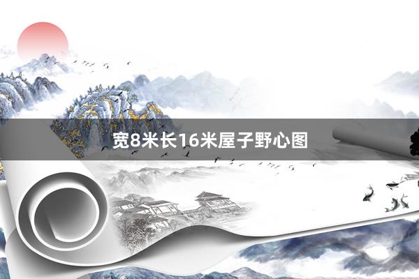 宽8米长16米屋子野心图