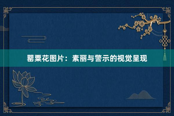 罂粟花图片：素丽与警示的视觉呈现