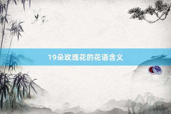 19朵玫瑰花的花语含义