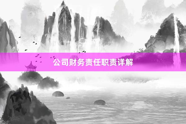 公司财务责任职责详解